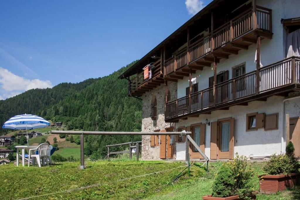 Casa Bernard Zortea Vanoi Cuore Verde Del Trentino Canal San Bovo Eksteriør bilde