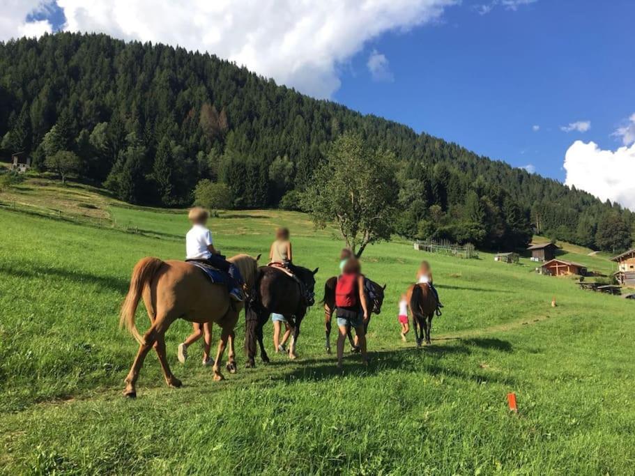 Casa Bernard Zortea Vanoi Cuore Verde Del Trentino Canal San Bovo Eksteriør bilde